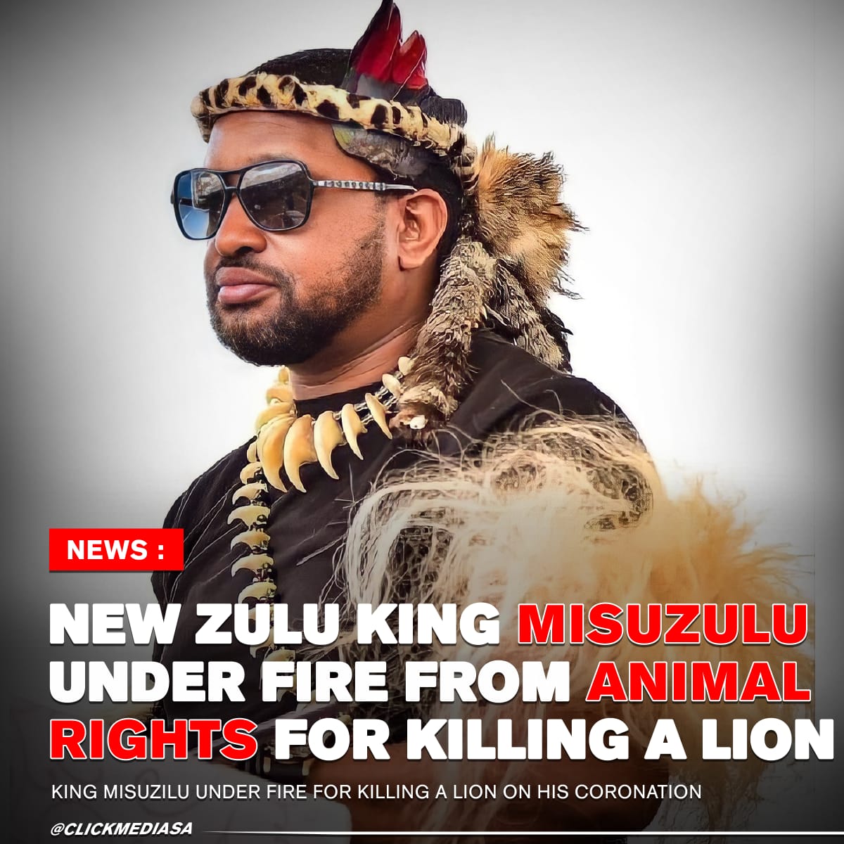 New Zulu King Misuzulu Under Fire From Animal Rights For Killing A Lion
